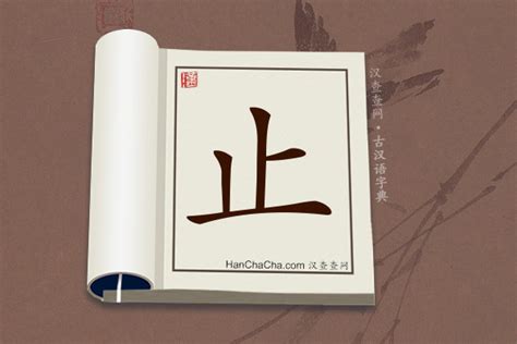 止 造詞|止造詞，止字的造詞